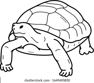 Desert Tortoise. California State Symbol. Vector Outline Icon.