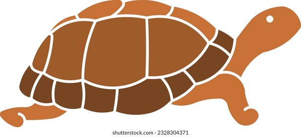 Desert Tortoise Tortoise Galapagos pet turtle Flat