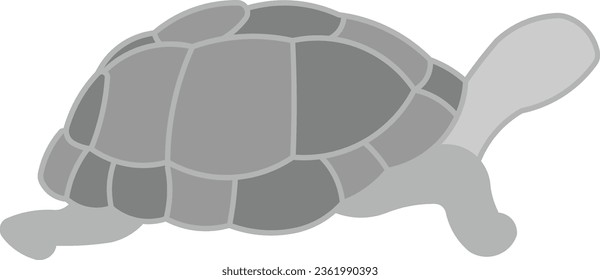 Desert Tortoise Tortoise Galapagos pet turtle