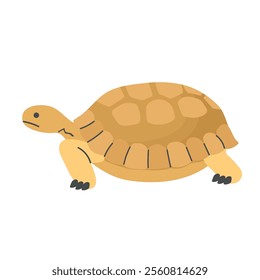 Desert tortoise icon clipart avatar logotype concepte isolated illustration