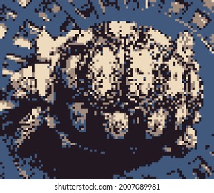 Desert turtle pixel art. Vector picture. Desert baby turtle pixel art. Land turtle pixel art.