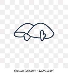 Desert vector outline icon isolated on transparent background, high quality linear Desert transparency concept can be used web and mobile