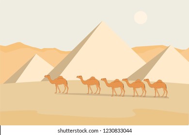 desert view  with pyramids and camels, cartoon vector landscape 