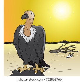 Desert vulture cartoon vector drawn