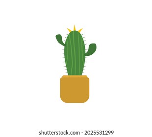 design about cactus icon illustration