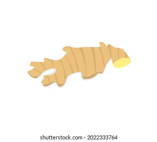 Design der Ingwer-Icon-Illustration