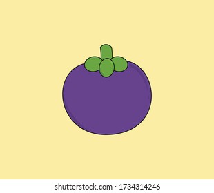 design about purple mangosteen illustrations