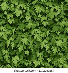Design of abstract leaves. Foliage. Seamless plants pattern. Foliar green background for textile, fabric, wallpapers, covers, print, decoupage, gift wrap. Ornament of maple leaves. Camouflage