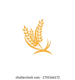 Design an agricultural wheat icon on EPS 10
