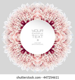 Design   art element    abstract kaleidoscopic rosette consisting reflections red  white garden Dahlia flower neutral grey background for  8 radial symmetry 