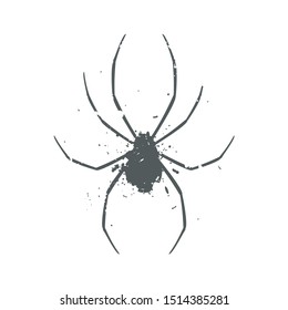 Design of art spider illustration