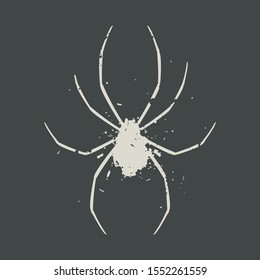 Design of art spider illustration