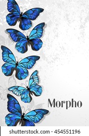 Design with artistically painted, butterflies morpho with iridescent blue wings on gray textural background.