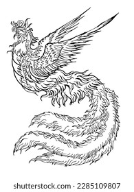 Design asian phoenix bird element outline art