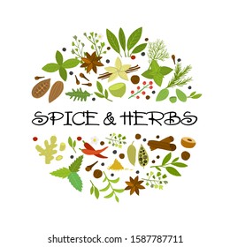 Design background for spice shop. Vector illustration