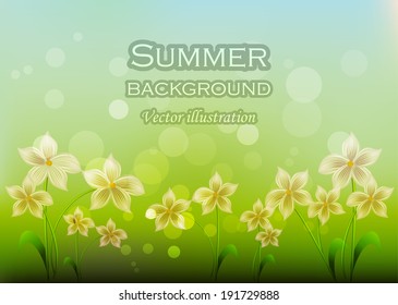 Design background with summer flowers.Vector.