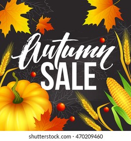Design banner Autumn sale. Fall poster design with pumpkin, leaves and spikelets. Vector illustration EPS10