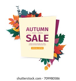 Design banner with autumn sale logo. Discount card for fall season with white frame and herb. Promotion offer with autumnal  oak plant, maple leave and flowers decoration. Vector 