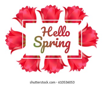 Design banner with hello spring logo. Card for spring season with white frame and tulips on white background