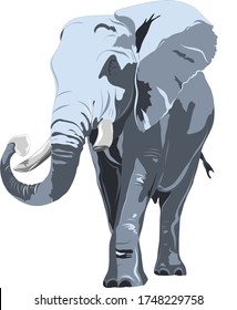 Design for banner, print for tshirt. Element of advertising. African elephant. Vector illustration on white background