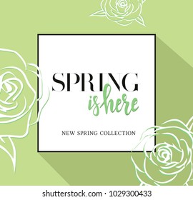 Design banner with spring is here logo. New spring collection. Green card for spring season with black frame and rose. Promotion offer with spring roses flower decoration. Vector eps10