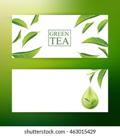 Design Banner Template. Green tea vector illustration.