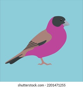 Design bird pink cartoon vector illustration