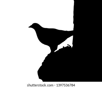 Design Bird Silhouette Draw Stock Vector (Royalty Free) 1397536784