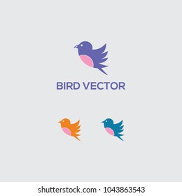 design bird vector
