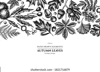 Design with black and white fern, dog rose, rowan, ginkgo, maple, oak, horse chestnut, chestnut, hawthorn