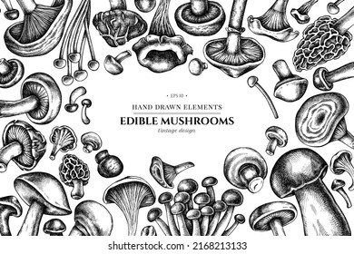 Design with black and white oyster mushroom, champignon, honey agaric, etc.