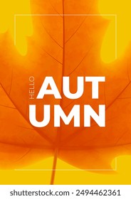 Design of bright autumn poster. Vector illustration with colorful maple leaf on orange background. Autumn banner for decoration seasonal discount offer, advertising, poster, banner, web, social media.