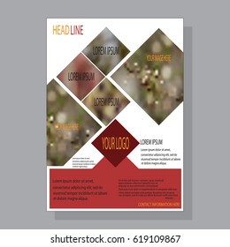 Design a brochure template, presentation, project