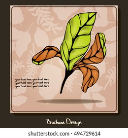 Design brochures square with the image of the iris. The theme of nature and plants. Vector. It can be used in the package design, brochures, logos, etc. There is a place for your text.
