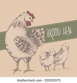 Design with brood-hen on beige background. Hand drawn. Hen looks with tenderness and love for its baby chickens. Picture of vector for your design. Handmade illustration.
