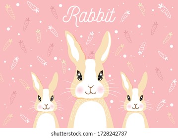 design bunny surrounded by 
carrot on pink for spring season.