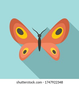 Design butterfly icon. Flat illustration of design butterfly vector icon for web design