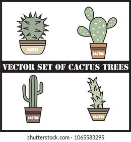 The design of the cactus variety in the style of Modern.