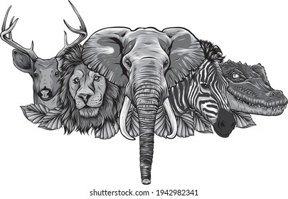 design of Cartoon african wild animals on white background