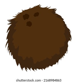 Design in cartoon style of a tropical and hairy coconut, isolated over white background.