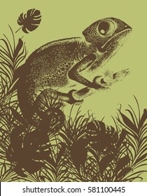 Design of chameleon. Vector illustration. Engraved style