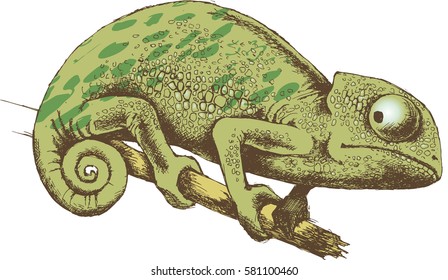 Design of chameleon. Vector illustration. Engraved style