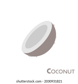 Design of coconut flat illustration