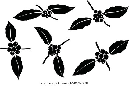 Design coffee beans with leaf branches as sets in different ways. Use black on a white background.