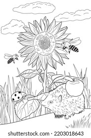 Design for coloring book. Blooming sunflower with bees. Cute hedgehog with an apple on his back. Cartoon flat vector illustration. Forest, animal life