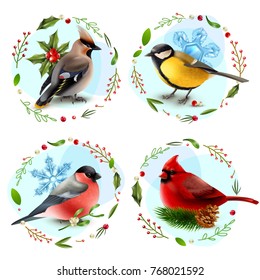 Design concept with winter birds, snowflakes, spruce branch, decorative frames from berries and leaves isolated vector illustration