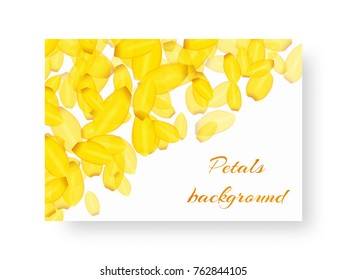 Design cover brochure with flying petals of flowering daffodils