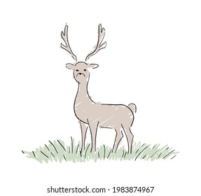 Design of deer in the field