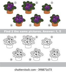 The design difference.  Vector visual game for children. Task and answer. Find two similar Violets