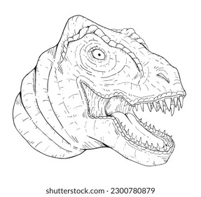 Design of dinosaur head draw to coloring